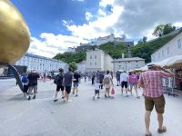 IMG_25271338