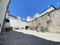 IMG_25491345