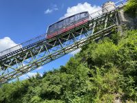 IMG_25831356