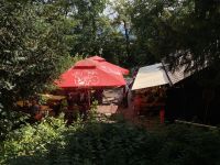 IMG_25861358