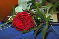 DSC_70561399